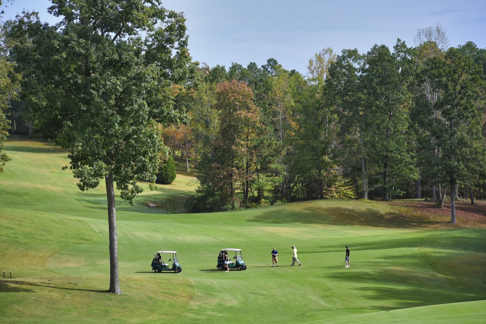 Golf fairway framed by trees with sand bunkers
